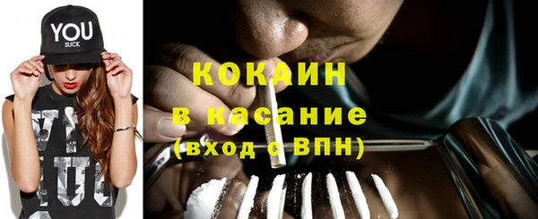 стаф Козельск