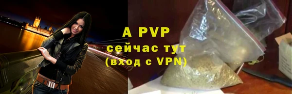 твердый Коряжма