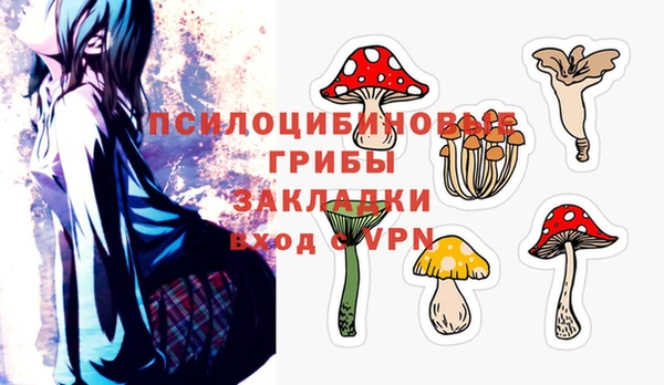 MDMA Козловка