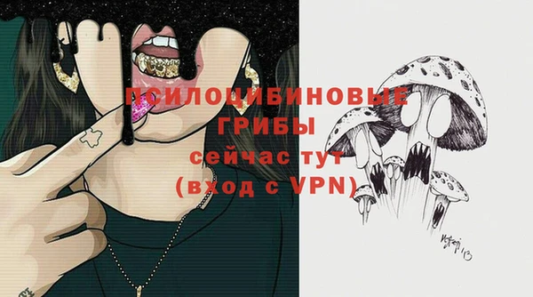 MDMA Козловка