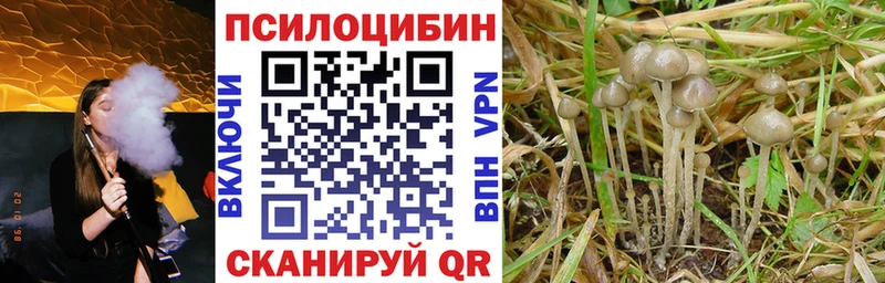 купить закладку  Мелеуз  Псилоцибиновые грибы Psilocybine cubensis 